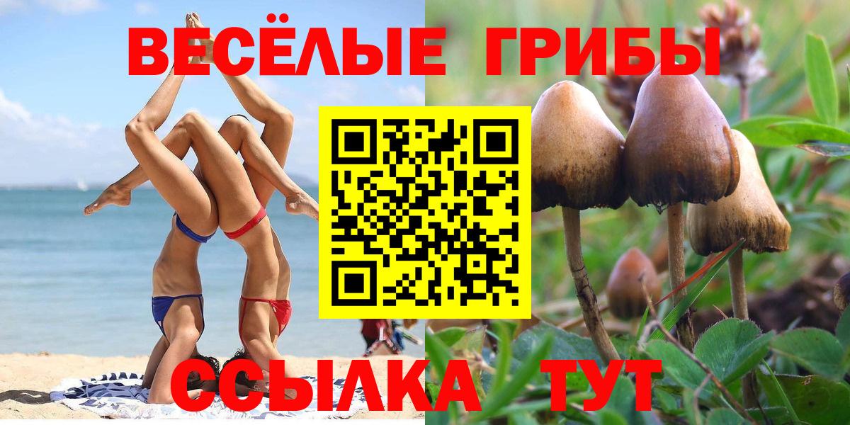 Псилоцибиновые грибы Magic Shrooms Люберцы